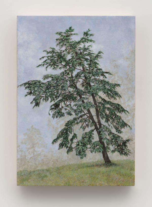 Pam Posey Royal Gardener's Tree, 2024