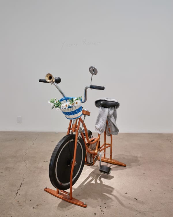 Yvonne Rainer (from "Portraits Of Eight New York Women")