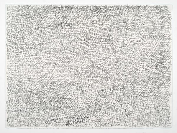 Karl Haendel Prozac Drawing #3 (Fuck You Dad), 2004
