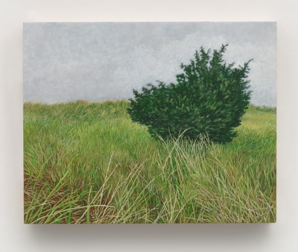 Pam Posey, Leadbetter Point, 2024