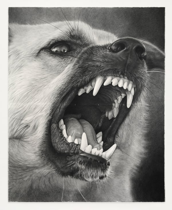 Karl Haendel Angry Dog 9, 2024