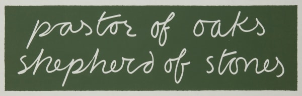 pastor of oaks shepherd of stones