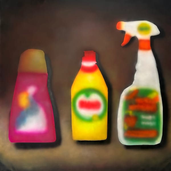 Still Life with Cleaning Products