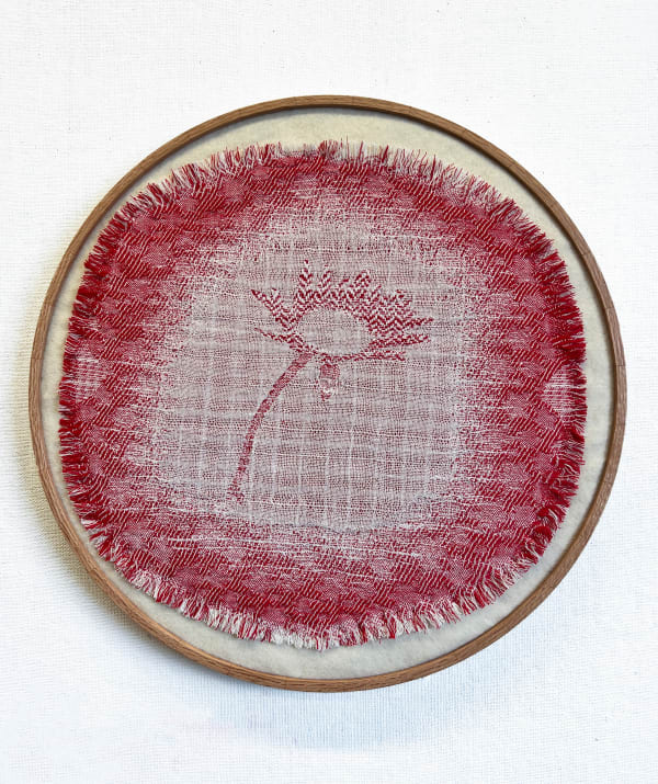 Poppy DeltaDawn, Oxeye, 2024