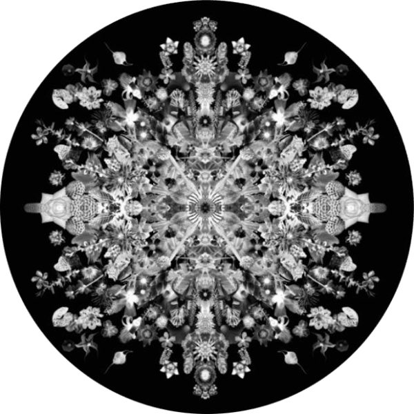 Carlos Betancourt, 56-04 Re-Collections b/w Xray, 2017