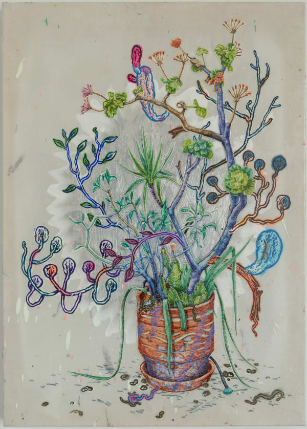 Taylor McKimens, Dio fyta with Elias Kafouros, 2016