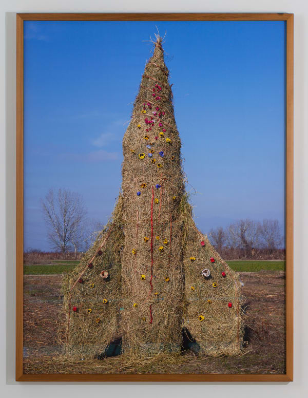 Petros Efstathiadis, Flowers, 2025