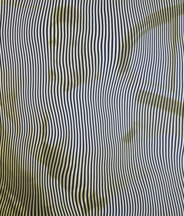 Robert Lazzarini, O25, 2017