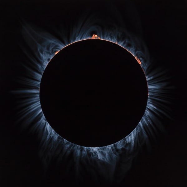 Damian Loeb, The Architects of Law ( Grand Mal ), 2019