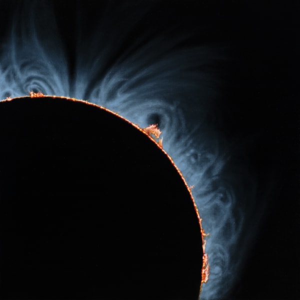 Damian Loeb, No Room for the Weak, 2019