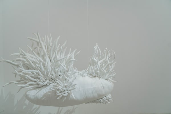 Phạm Hồng, Blank Canvas