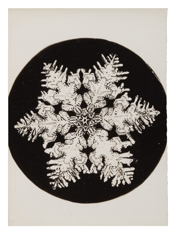 Wilson A. Bentley, Snowflake, c. 1900-1910