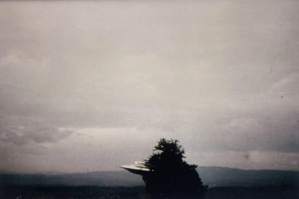 "Billy" Eduard Albert Meier, Beamship Crashed in Tree, Fuchsbüel-Hofhalden, Switzerland, July 9th, 1975