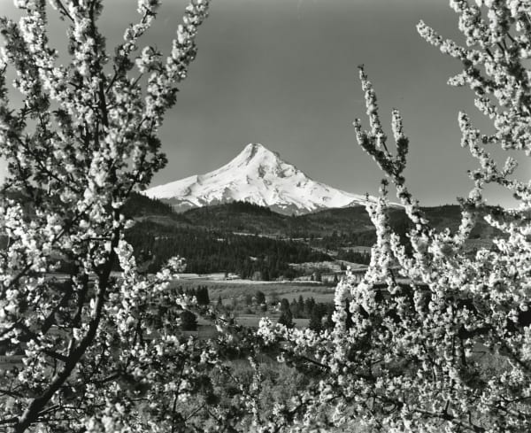 Union Pacific Railroad, Mt. Hood, Oregon, c. 1960