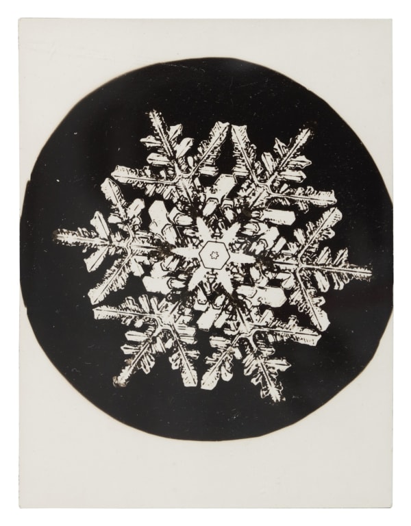 Wilson A. Bentley, Snowflake (February 22), c. 1900-1910