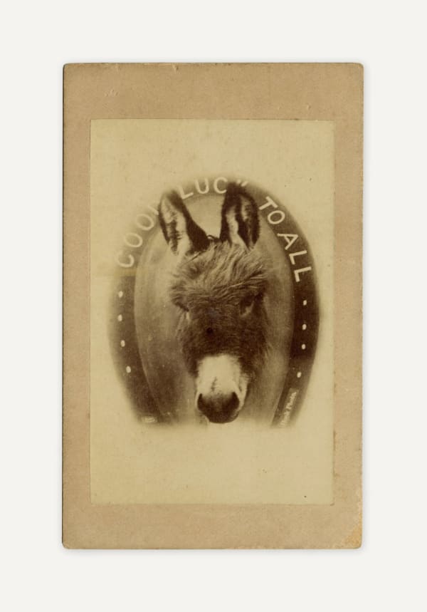 Anonymous, Portrait of the Good Luck Donkey, 1890s