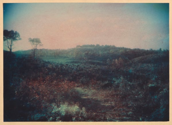 Louis H. Brown, Experimental Color Landscape, c. 1910-20