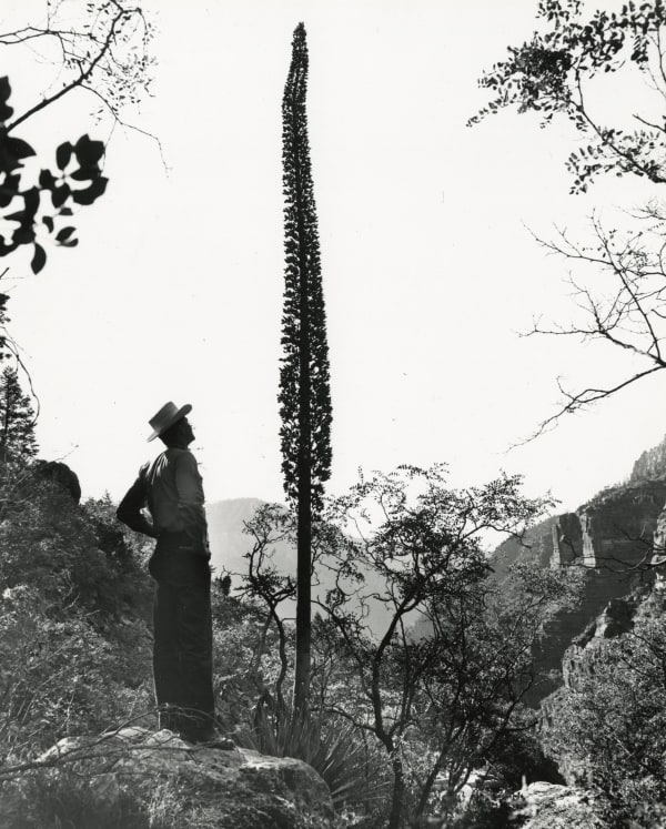 Union Pacific Railroad, Untitled, c. 1960