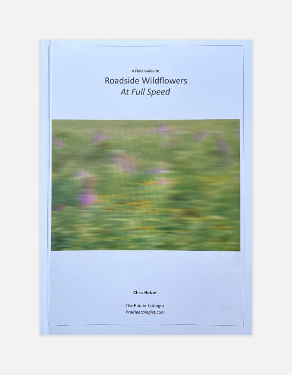 Chris Helzer, A Field Guide to Roadside Wildflowers At Full Speed, 2022
