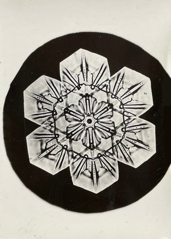 Wilson A. Bentley, Snowflake, c. 1900-1910