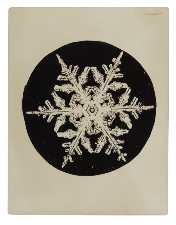 Wilson A. Bentley, Snowflake, c. 1900-1910