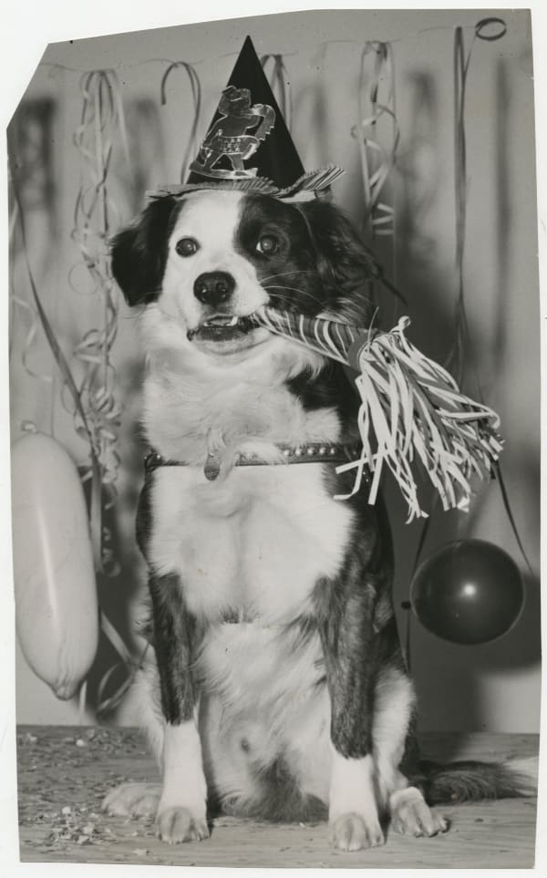 Anonymous, New Years Day in San Francisco, California, 1959