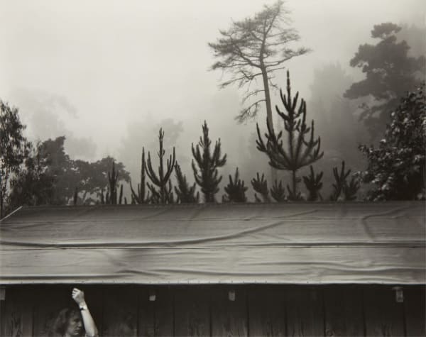 Edward Weston 7 am, Pacific War Time, 1945 Silver print; printed c. 1950