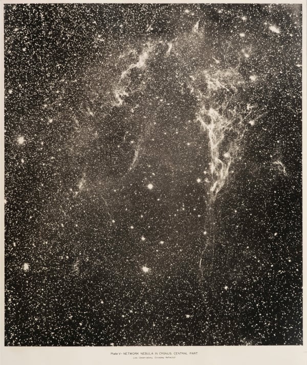 [Lick Observatory], Network Nebula in Cygnus, 1940