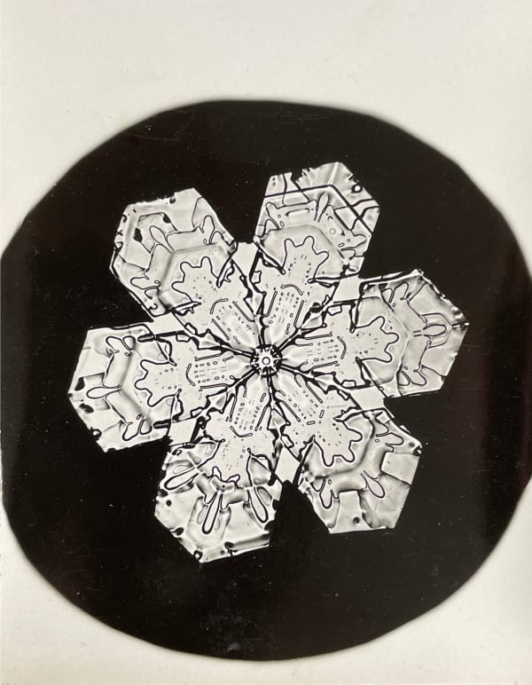 Wilson A. Bentley, Snowflake, c. 1900-1910