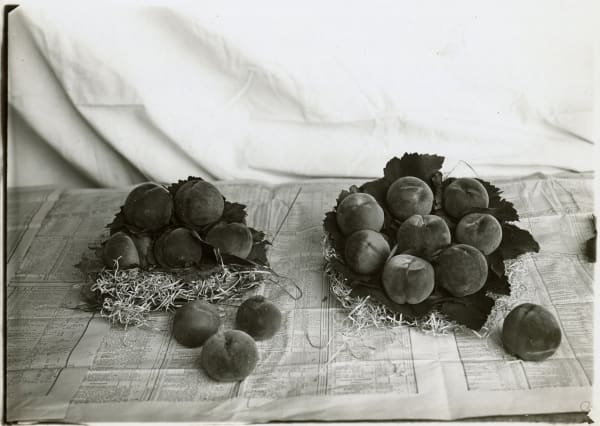Jacques Boyer, Freshly Harvested Peaches, Montreuil, 1910s