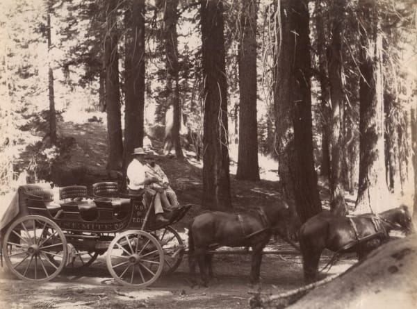 Desiré Fricot, [Scenes of Calaveras County & Yosemite Valley], c. 1890
