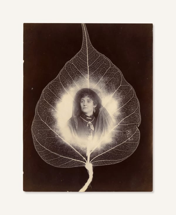 Unknown, Portrait inside a Leaf Photogram, 1890s