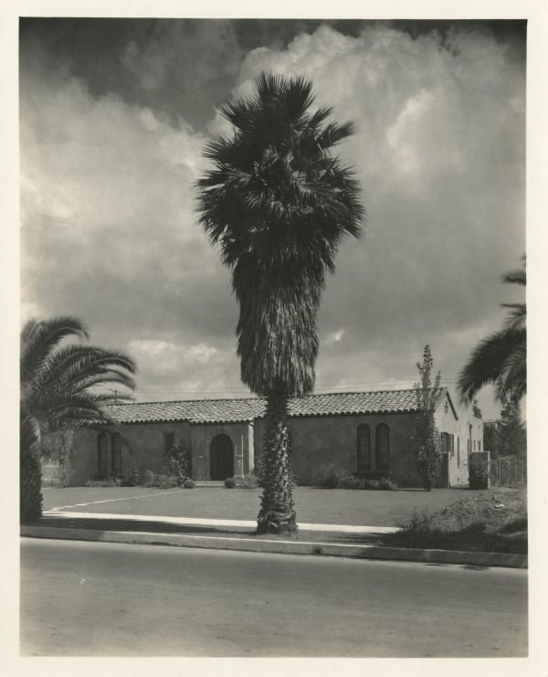 Anonymous, Palm Tree, Los Angeles, California, 1930s