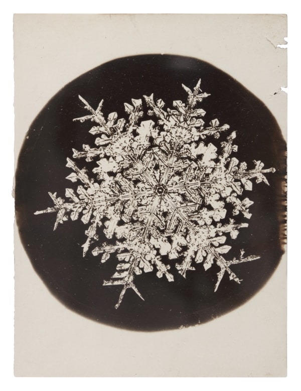 Wilson A. Bentley, Snowflake, c. 1900-1910