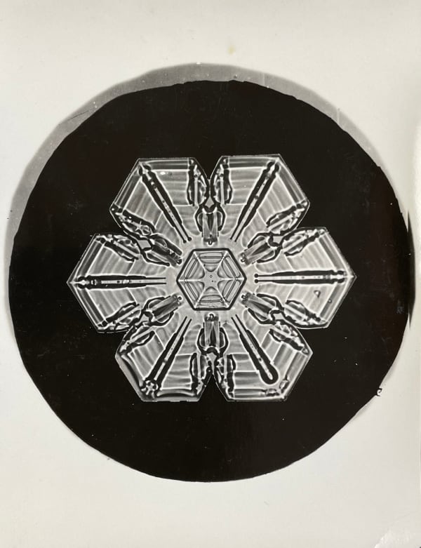 Wilson A. Bentley, Snow Crystal, c. 1900-1910