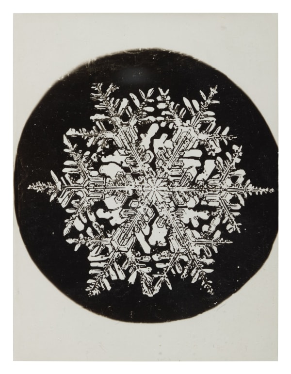 Wilson A. Bentley, Snowflake, c. 1900-1910