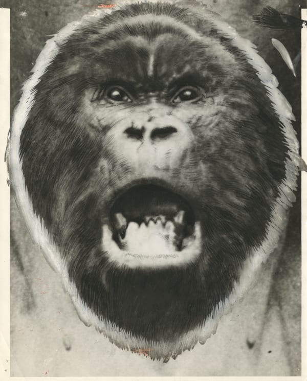 Anonymous, Face of a Gorilla, 1928
