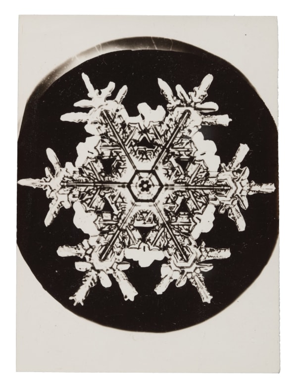 Wilson A. Bentley, Snowflake, c. 1900-1910