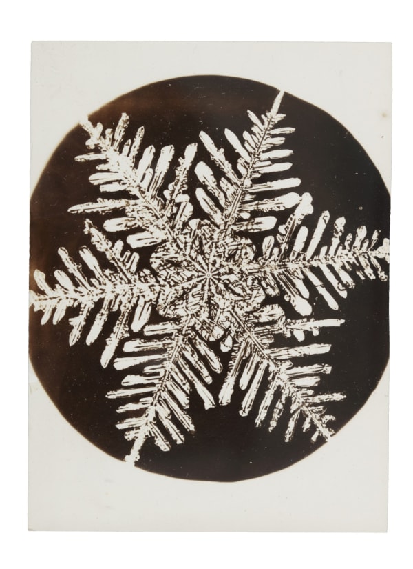 Wilson A. Bentley, Snowflake, c. 1900-1910
