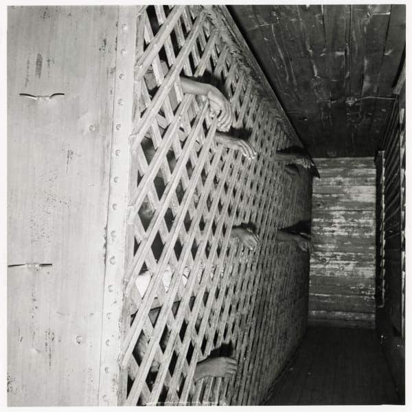 Jack Delano, Convict Camp, Greene Co., Georgia, 1941