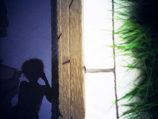 LEI Benben, Shadow on the Water, Grass 水影·草, 2005