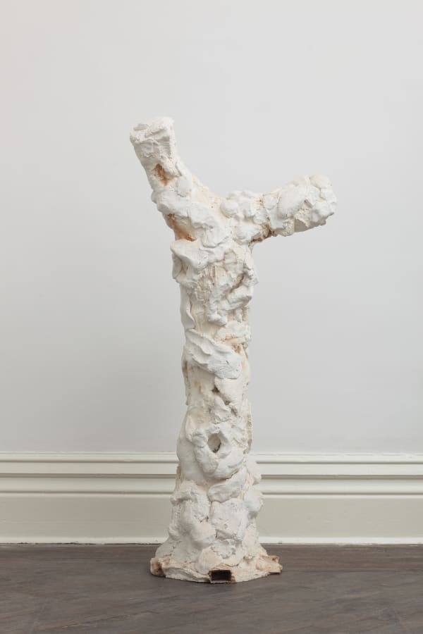 Tree N0.9 树的肖像 9