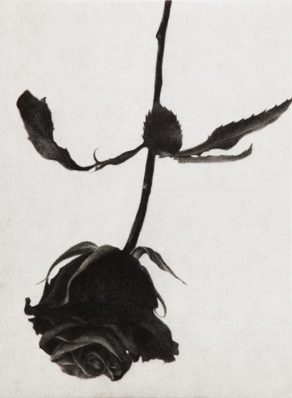 ZHANG Yunyao The Vanishing Midnight 消失的午夜, 2013 Graphite on felt 石墨毛毡 50.5 x 37 cm