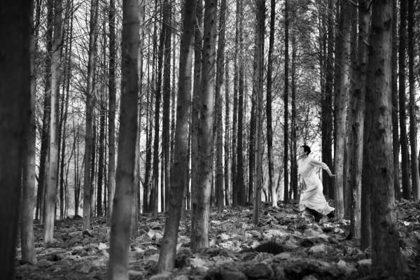 a.f.art theatreFangling, Lost in the Woods 迷失森林, 2014
