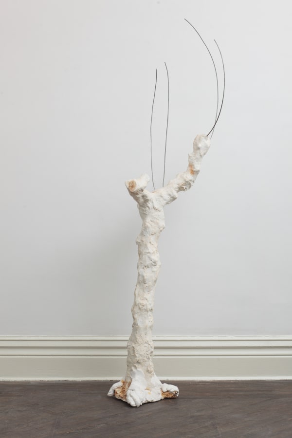 Tree N0.6 树的肖像 6