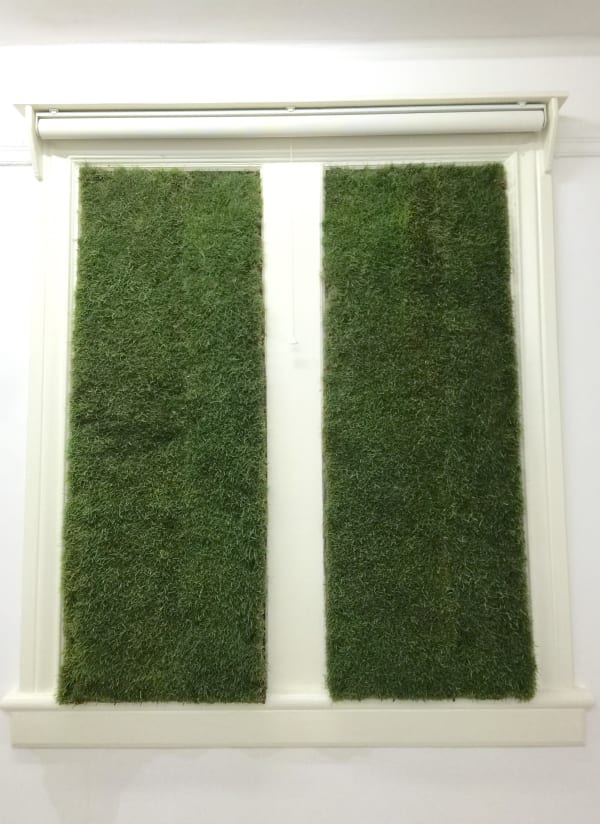 ZHANG Ruyi Transplant 移植, 2015 Wood panel,Cement bOard and turf 木板，水泥板和草皮 Dimensions variable尺寸可变