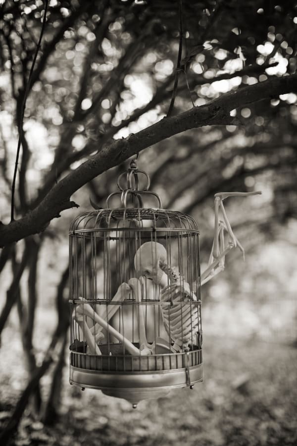 Michael Ryan, The Dead Angel 天使之死, 2011