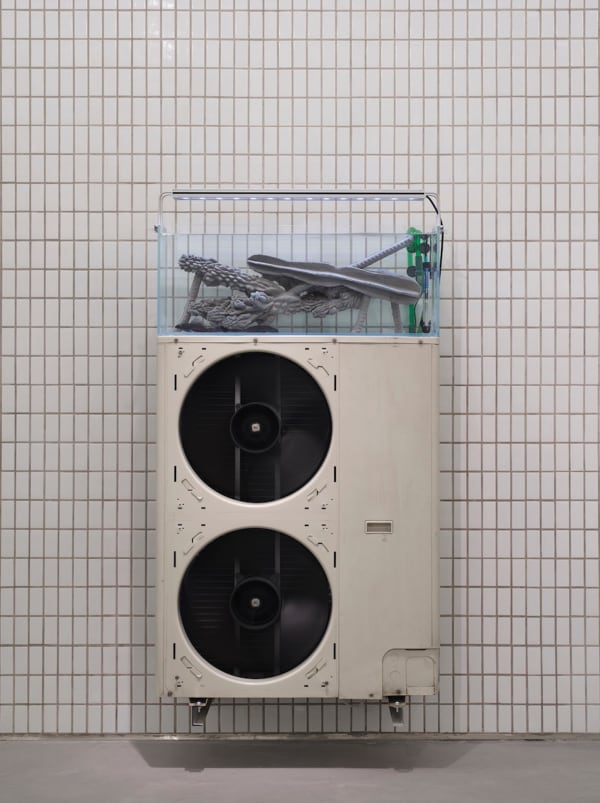 ZHANG Ruyi lnternal External Unit 室内外机, 2019 Air conditioner condenser, aquarium, concrete, Suckermouth catfish, heater, filter, light 空调外机,转速器,鱼缸,混凝土,清道夫,加热棒,过滤器,灯 152 x 90 x 32 cm