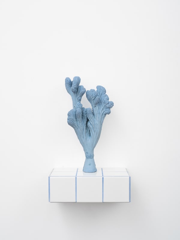 ZHANG Ruyi Individual Plant-FB 一株-FB, 2021 Concrete, pigment, ceramic tiles, wood panel, metal 混凝土,色粉,瓷砖,木板,金属 47 x 30 x 20 cm