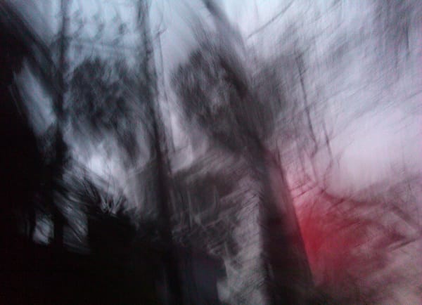 LEI Benben, Shadow of the Tree 树影 2, 2012